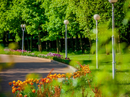 Санаторий «Заря», Кисловодск. Территория